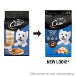 CESAR Rotisserie Chicken with Spring Vegetables Garnish Dry Dog Food - Image 3